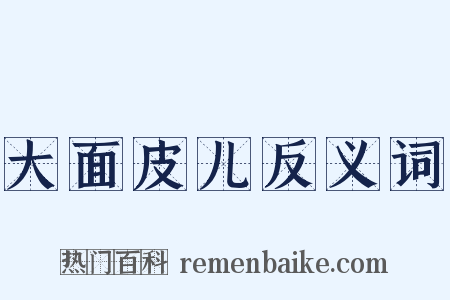 大面皮儿反义词是什么意思的图片